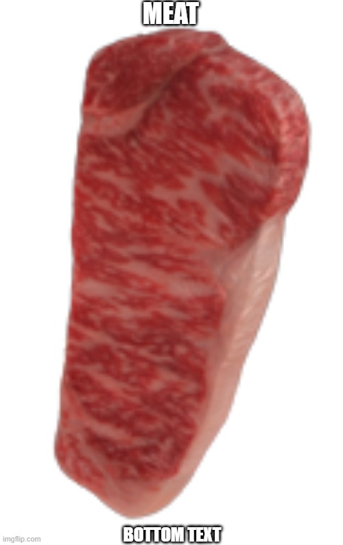 MEAT; BOTTOM TEXT | image tagged in meat | made w/ Imgflip meme maker
