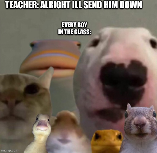 The council remastered | TEACHER: ALRIGHT ILL SEND HIM DOWN; EVERY BOY IN THE CLASS: | image tagged in the council remastered | made w/ Imgflip meme maker