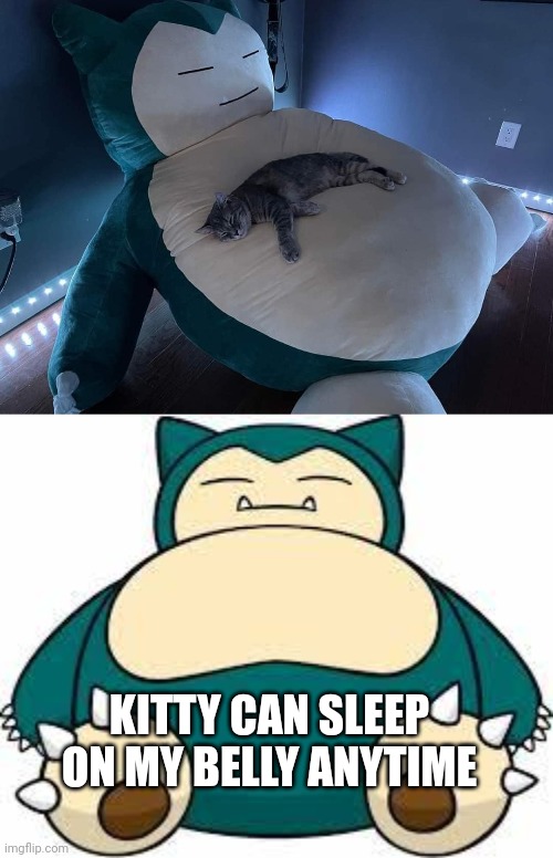 KITTY SLEEPING ON SNORLAX | KITTY CAN SLEEP ON MY BELLY ANYTIME | image tagged in snorlax,cats,funny cats,pokemon | made w/ Imgflip meme maker