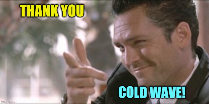 Pointing finger gun guy | THANK YOU COLD WAVE! | image tagged in pointing finger gun guy | made w/ Imgflip meme maker