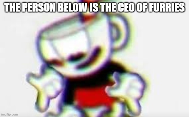 The Person Below is... | THE PERSON BELOW IS THE CEO OF FURRIES | image tagged in the person below is | made w/ Imgflip meme maker