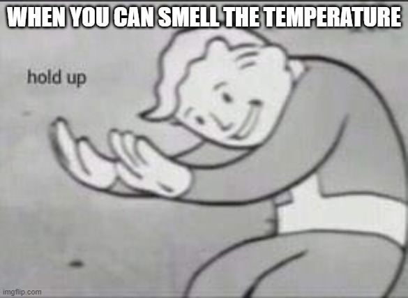 When you can smell the temperature... | WHEN YOU CAN SMELL THE TEMPERATURE | image tagged in fallout hold up,temperature | made w/ Imgflip meme maker