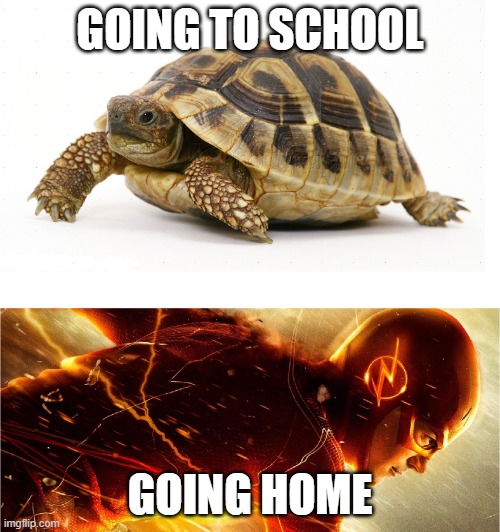 Slow vs Fast Meme | GOING TO SCHOOL; GOING HOME | image tagged in slow vs fast meme | made w/ Imgflip meme maker