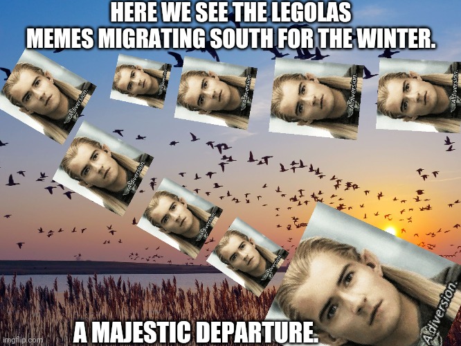 A migration | HERE WE SEE THE LEGOLAS MEMES MIGRATING SOUTH FOR THE WINTER. A MAJESTIC DEPARTURE. | image tagged in legolas,a diversion,lotr,migration,winter | made w/ Imgflip meme maker