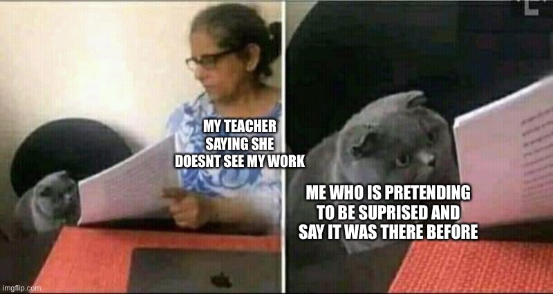 Black Cat and Teacher | MY TEACHER SAYING SHE DOESNT SEE MY WORK; ME WHO IS PRETENDING TO BE SUPRISED AND SAY IT WAS THERE BEFORE | image tagged in black cat and teacher | made w/ Imgflip meme maker