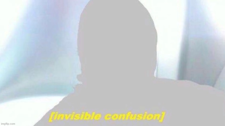 Invisible Confusion | image tagged in invisible confusion | made w/ Imgflip meme maker