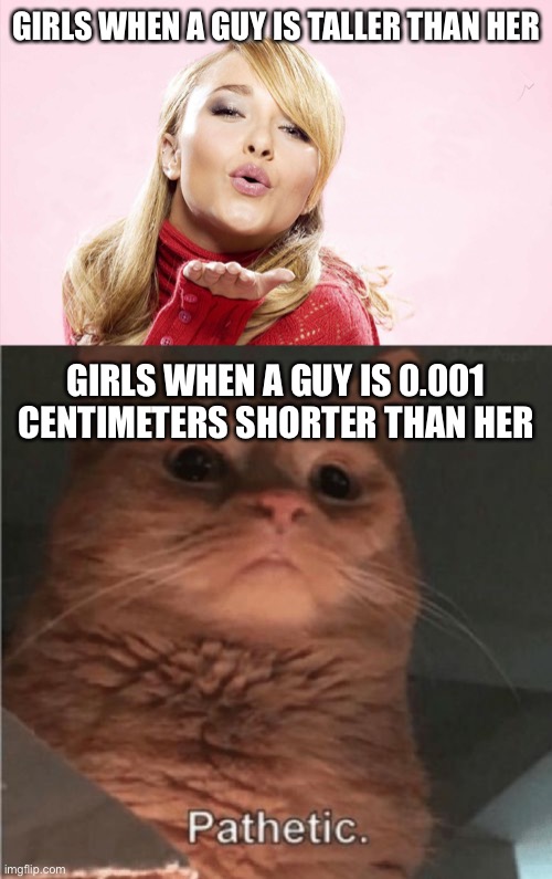 Me? I literally couldn’t care about height | GIRLS WHEN A GUY IS TALLER THAN HER; GIRLS WHEN A GUY IS 0.001 CENTIMETERS SHORTER THAN HER | image tagged in hayden blow kiss,pathetic cat | made w/ Imgflip meme maker