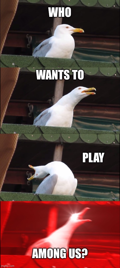 ? | WHO; WANTS TO; PLAY; AMONG US? | image tagged in memes,inhaling seagull | made w/ Imgflip meme maker