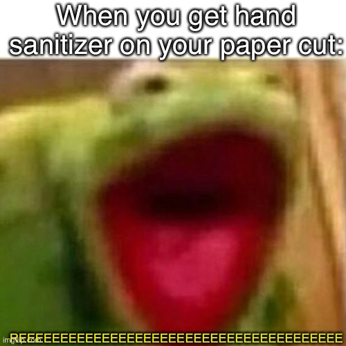 *runs around in circles while screaming from the pain* | When you get hand sanitizer on your paper cut:; REEEEEEEEEEEEEEEEEEEEEEEEEEEEEEEEEEEEEEE | image tagged in hand sanitizer,relatable memes,kermit the frog,ouch,a | made w/ Imgflip meme maker