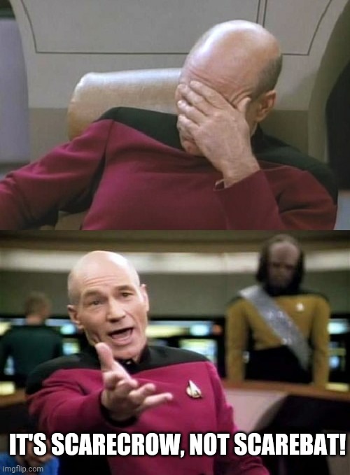 Picard Facepalm WTF Combo | IT'S SCARECROW, NOT SCAREBAT! | image tagged in picard facepalm wtf combo | made w/ Imgflip meme maker