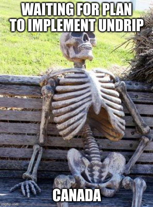 unless im mistaken | WAITING FOR PLAN TO IMPLEMENT UNDRIP; CANADA | image tagged in memes,waiting skeleton | made w/ Imgflip meme maker