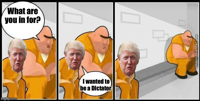What are you in for? | What are you in for? I wanted to be a Dictator | image tagged in what are you in for | made w/ Imgflip meme maker