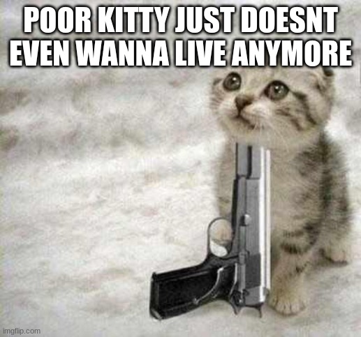 suicide | POOR KITTY JUST DOESNT EVEN WANNA LIVE ANYMORE | image tagged in suicide | made w/ Imgflip meme maker