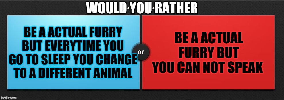 blue blue blue |  WOULD YOU RATHER; BE A ACTUAL FURRY BUT EVERYTIME YOU GO TO SLEEP YOU CHANGE TO A DIFFERENT ANIMAL; BE A ACTUAL FURRY BUT YOU CAN NOT SPEAK | image tagged in would you rather,blue,or,red,rather,meme | made w/ Imgflip meme maker