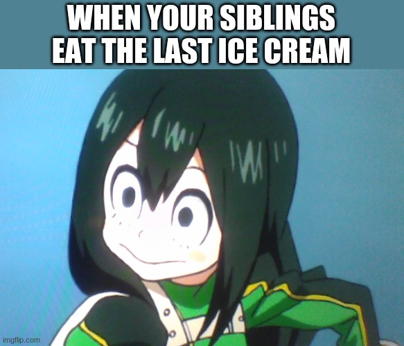I just took this picture. | WHEN YOUR SIBLINGS EAT THE LAST ICE CREAM | image tagged in tsuyu death stare | made w/ Imgflip meme maker