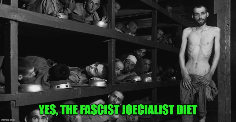 Concentration camp | YES, THE FASCIST JOECIALIST DIET | image tagged in concentration camp | made w/ Imgflip meme maker