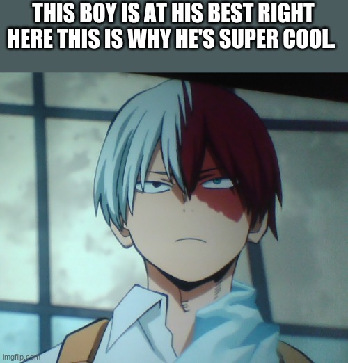 Now I am here on the title i just realized I made the worst pun imaginable. | THIS BOY IS AT HIS BEST RIGHT HERE THIS IS WHY HE'S SUPER COOL. | image tagged in horrible pun,regrets,todoroki | made w/ Imgflip meme maker