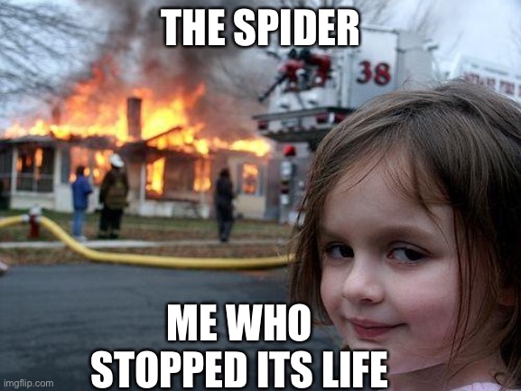 Disaster Girl | THE SPIDER; ME WHO STOPPED ITS LIFE | image tagged in memes,disaster girl | made w/ Imgflip meme maker