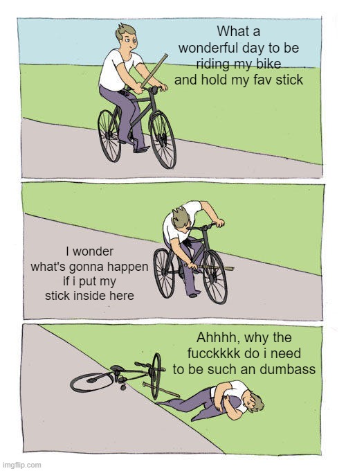 Why | What a wonderful day to be riding my bike and hold my fav stick; I wonder what's gonna happen if i put my stick inside here; Ahhhh, why the fucckkkk do i need to be such an dumbass | image tagged in memes,bike fall | made w/ Imgflip meme maker