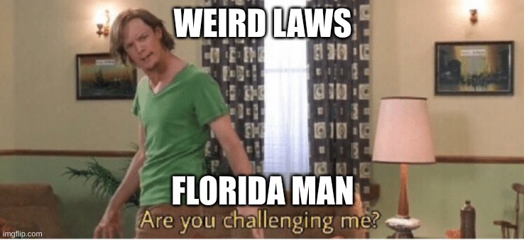 Shaggy man | WEIRD LAWS; FLORIDA MAN | image tagged in are you challenging me | made w/ Imgflip meme maker