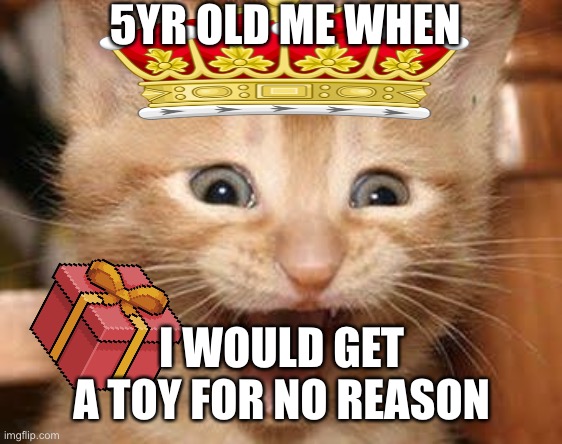 Excited Cat Meme | 5YR OLD ME WHEN; I WOULD GET
 A TOY FOR NO REASON | image tagged in memes,excited cat | made w/ Imgflip meme maker