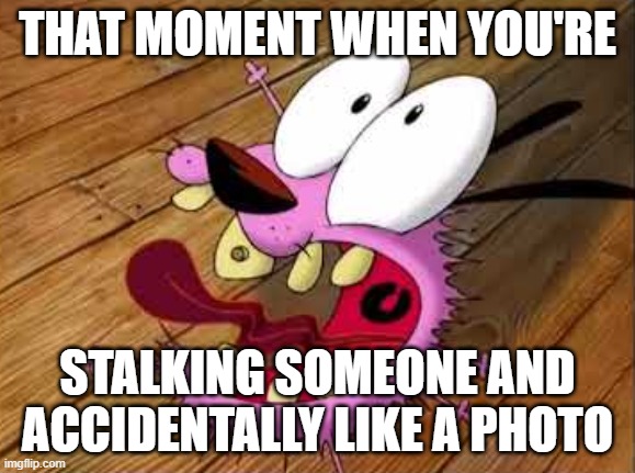 Courage | THAT MOMENT WHEN YOU'RE; STALKING SOMEONE AND ACCIDENTALLY LIKE A PHOTO | image tagged in courage | made w/ Imgflip meme maker