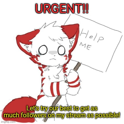 Please, let's try to get this stream as popular as we can! <3 | URGENT!! Let's try our best to get as much followers on my stream as possible! | image tagged in shizi from changed holding sign saying help me | made w/ Imgflip meme maker