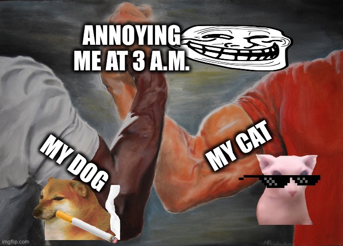 Epic Handshake | ANNOYING ME AT 3 A.M. MY CAT; MY DOG | image tagged in memes,epic handshake | made w/ Imgflip meme maker