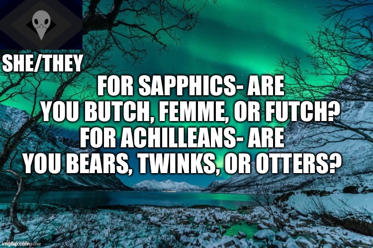 I’m a futch (femme leaning) | FOR SAPPHICS- ARE YOU BUTCH, FEMME, OR FUTCH? FOR ACHILLEANS- ARE YOU BEARS, TWINKS, OR OTTERS? | image tagged in she/they | made w/ Imgflip meme maker