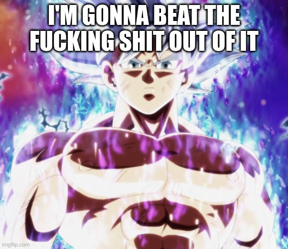 Mastered ultra instinct goku | I'M GONNA BEAT THE FUCKING SHIT OUT OF IT | image tagged in mastered ultra instinct goku | made w/ Imgflip meme maker