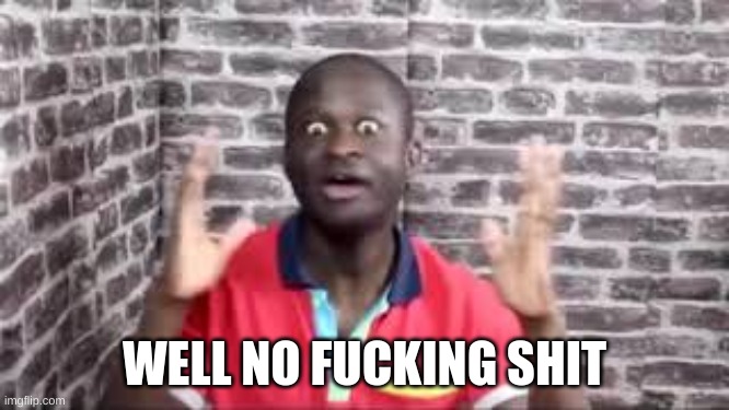 well no fucking shit | WELL NO FUCKING SHIT | image tagged in well no fucking shit | made w/ Imgflip meme maker