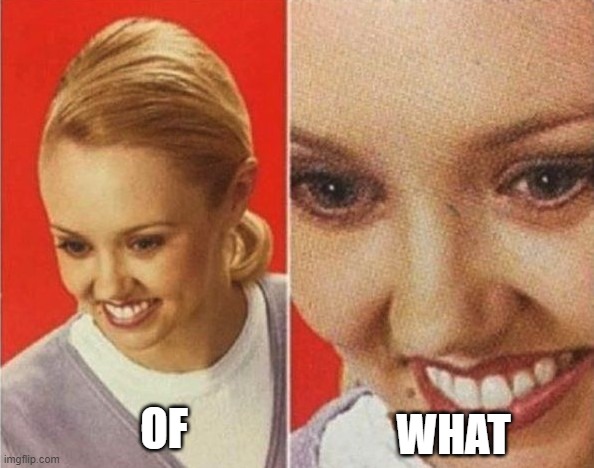 the WHAT | OF WHAT | image tagged in the what | made w/ Imgflip meme maker