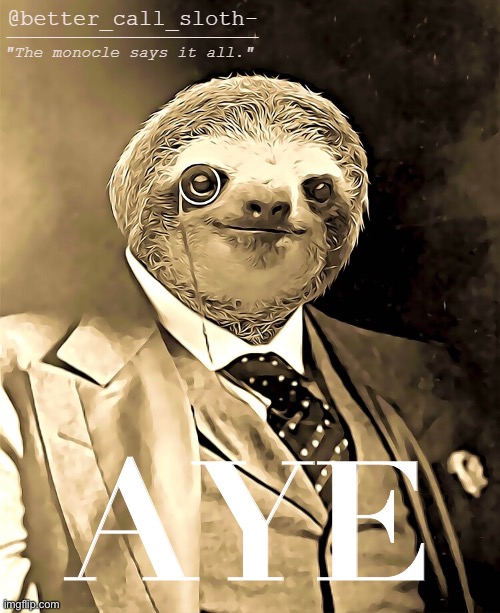 sloth announcement | AYE | image tagged in sloth announcement | made w/ Imgflip meme maker