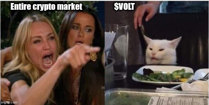 Voltmeme1 | Entire crypto market                     $VOLT | image tagged in voltron | made w/ Imgflip meme maker