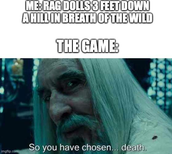 ME: RAG DOLLS 3 FEET DOWN A HILL IN BREATH OF THE WILD; THE GAME: | image tagged in blank white template,so you have chosen death | made w/ Imgflip meme maker