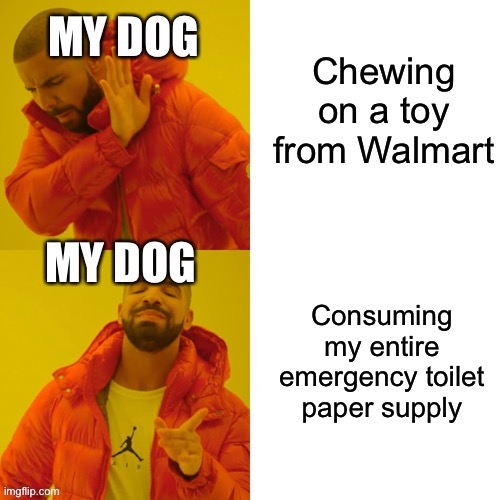 Drake | image tagged in dogs | made w/ Imgflip meme maker
