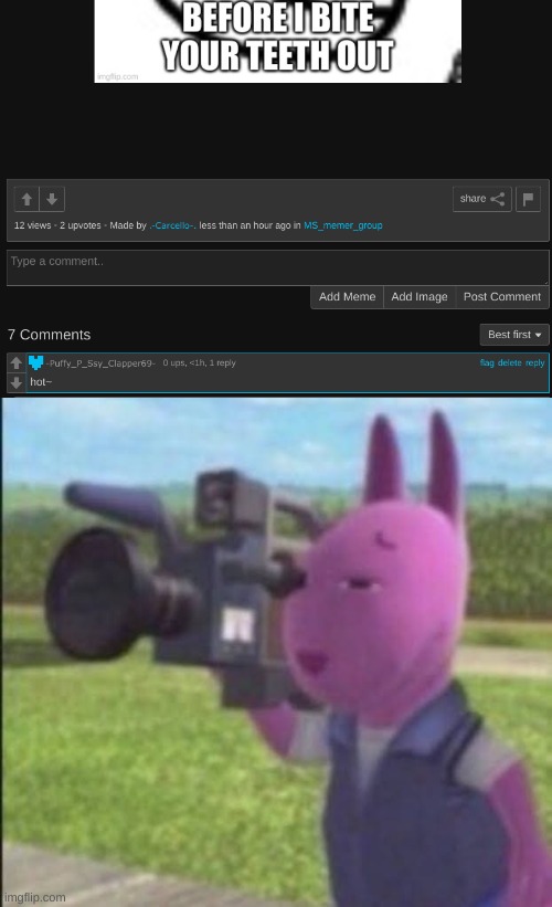 made w/ Imgflip meme maker