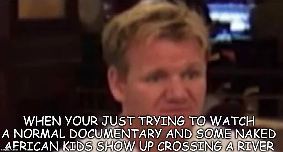 Disgusted Gordon Ramsay |  WHEN YOUR JUST TRYING TO WATCH A NORMAL DOCUMENTARY AND SOME NAKED AFRICAN KIDS SHOW UP CROSSING A RIVER | image tagged in disgusted gordon ramsay | made w/ Imgflip meme maker