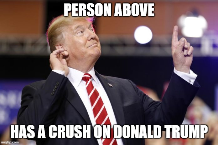 This person above me is crazy | PERSON ABOVE; HAS A CRUSH ON DONALD TRUMP | image tagged in this person above me is crazy | made w/ Imgflip meme maker