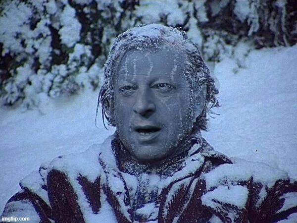 Frozen Al Gore | image tagged in frozen al gore | made w/ Imgflip meme maker