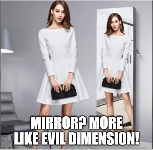 What the... | MIRROR? MORE LIKE EVIL DIMENSION! | image tagged in you had one job | made w/ Imgflip meme maker