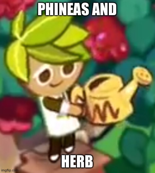 Sound the same | PHINEAS AND; HERB | image tagged in cookies | made w/ Imgflip meme maker