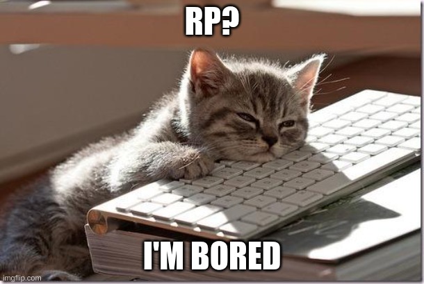 Bored Keyboard Cat | RP? I'M BORED | image tagged in bored keyboard cat | made w/ Imgflip meme maker