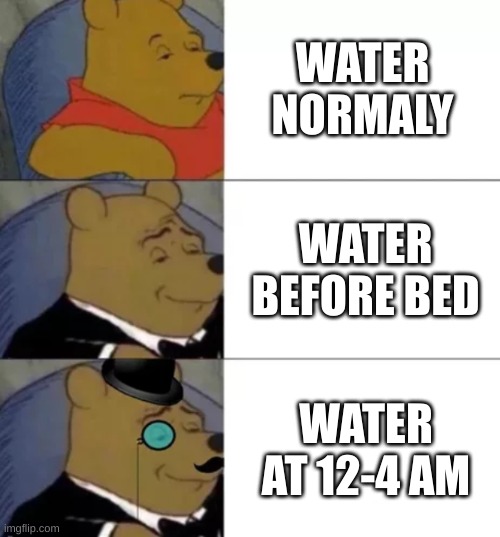 it was 11 pm exactly when i made this lol- | WATER NORMALY; WATER BEFORE BED; WATER AT 12-4 AM | image tagged in fancy pooh | made w/ Imgflip meme maker