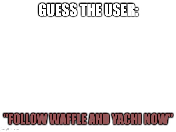 Who?! | GUESS THE USER:; "FOLLOW WAFFLE AND YACHI NOW" | image tagged in blank white template | made w/ Imgflip meme maker