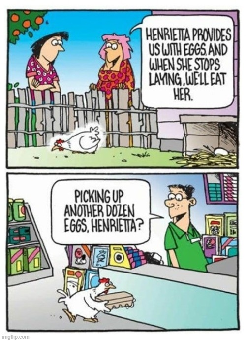 Why did the chicken cross the road? | image tagged in comics,why did the chicken cross the road,chicken,eggs,improvise adapt overcome | made w/ Imgflip meme maker