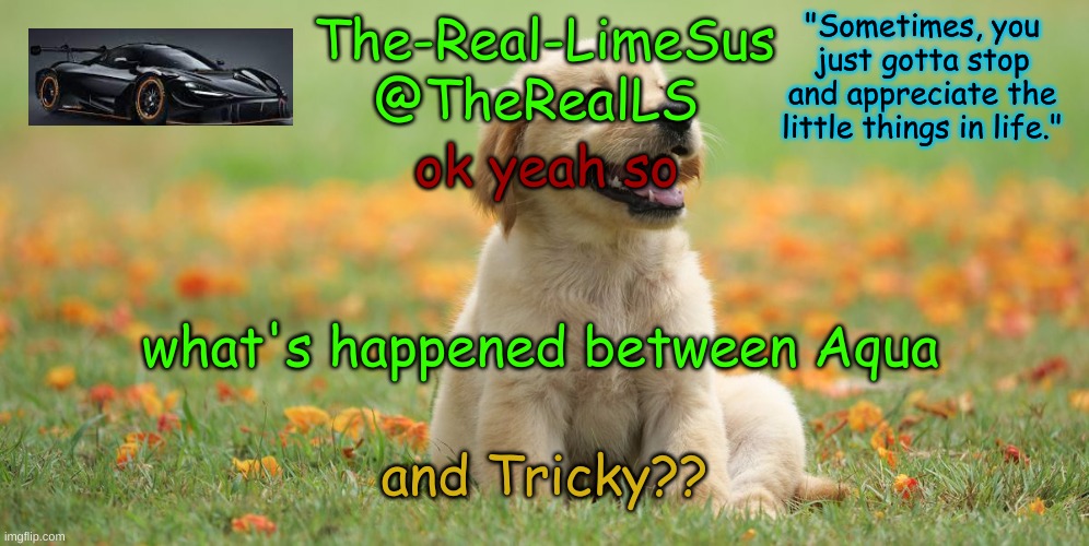 AM CONFOOS | ok yeah so; what's happened between Aqua; and Tricky?? | image tagged in limesus doggo announcement temp v1 4 | made w/ Imgflip meme maker
