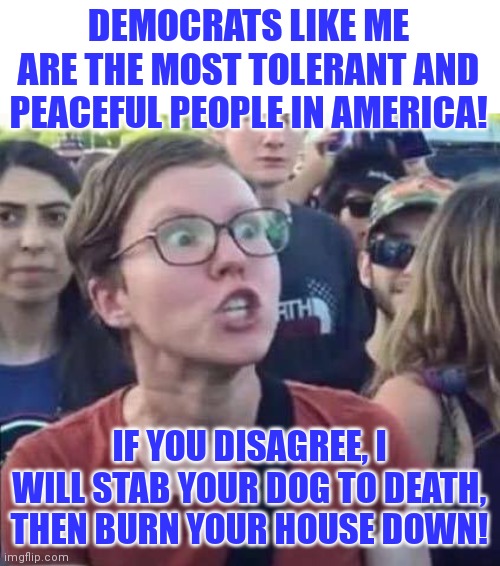 Democrats now come in 2 flavors...Normal or Nutty | DEMOCRATS LIKE ME ARE THE MOST TOLERANT AND PEACEFUL PEOPLE IN AMERICA! IF YOU DISAGREE, I WILL STAB YOUR DOG TO DEATH, THEN BURN YOUR HOUSE DOWN! | image tagged in angry liberal,liberal hypocrisy,two face,out of ideas | made w/ Imgflip meme maker