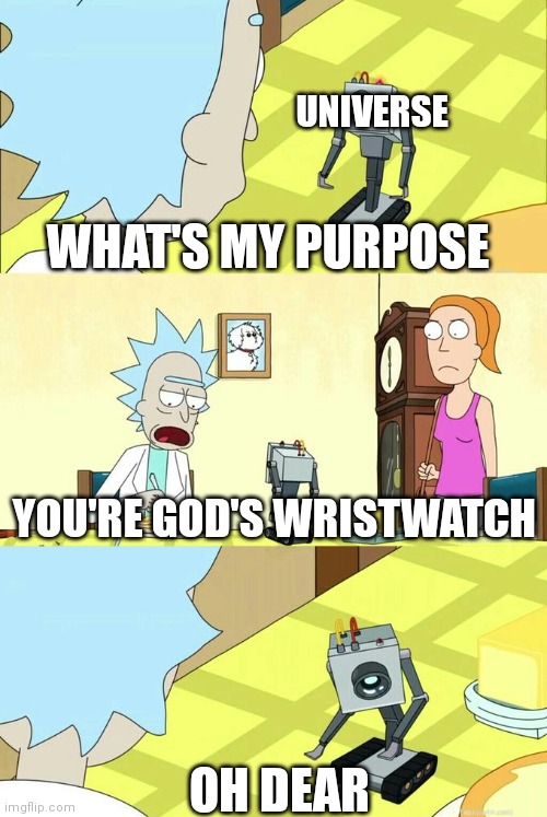 What's My Purpose - Butter Robot | UNIVERSE; WHAT'S MY PURPOSE; YOU'RE GOD'S WRISTWATCH; OH DEAR | image tagged in what's my purpose - butter robot | made w/ Imgflip meme maker