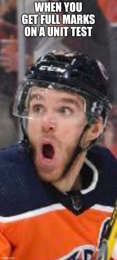 WHEN YOU GET FULL MARKS ON A UNIT TEST | image tagged in hockey | made w/ Imgflip meme maker